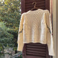 Cardigan Femme Brodé Fleurs – Tricot Vintage Col V Style Coréen Automne Hiver 2025.