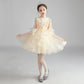 Children Dress Princess Dress Girl Girl Host Evening Dress.