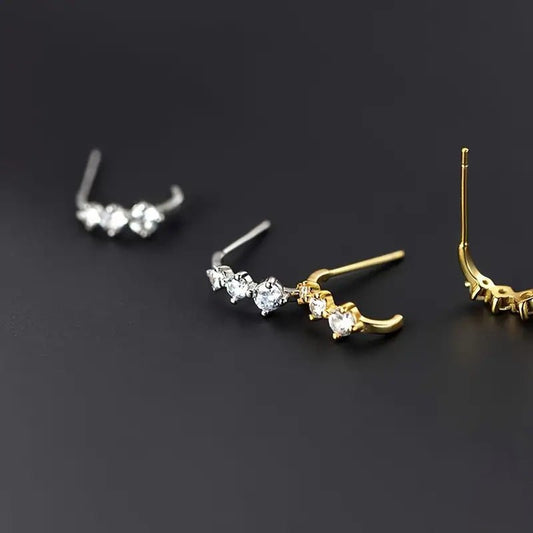 Simple Delicate Earrings Women's Fashion.