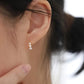 Simple Delicate Earrings Women's Fashion.